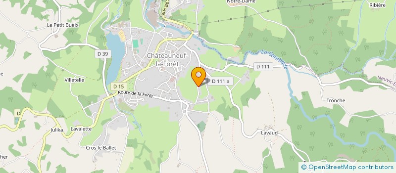 localisation de l'entreprise MONSIEUR ANDRE RUCHAUD à LA CROISILLE-SUR-BRIANCE