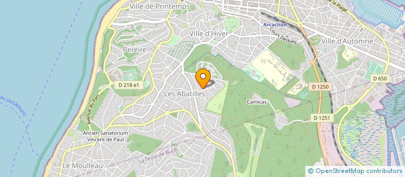 localisation de l'entreprise MONSIEUR ANDRE SCHILTZ  ARCACHON