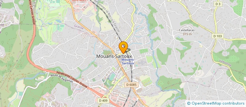 localisation de l'entreprise MONSIEUR ANDRE VICCINI  MOUANS-SARTOUX