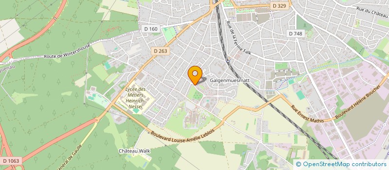 localisation de l'entreprise MONSIEUR ANDRE WENDLING  HAGUENAU