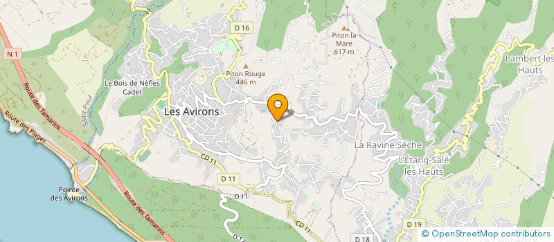 localisation de l'entreprise MONSIEUR ANDREA IANNUZZELLI  LES AVIRONS