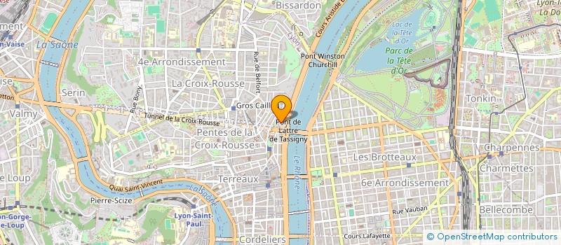 localisation de l'entreprise MONSIEUR ANDREA TERRAGNI à LYON