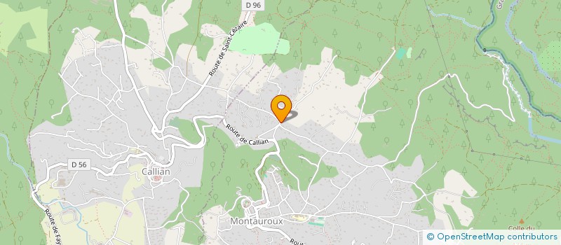 localisation de l'entreprise MONSIEUR ANDREI CAVCALIUC  MONTAUROUX