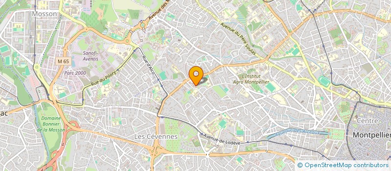 localisation de l'entreprise MONSIEUR ANDREI CECAN  MONTPELLIER