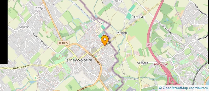 localisation de l'entreprise MONSIEUR ANDREI CHELARU à FERNEY-VOLTAIRE