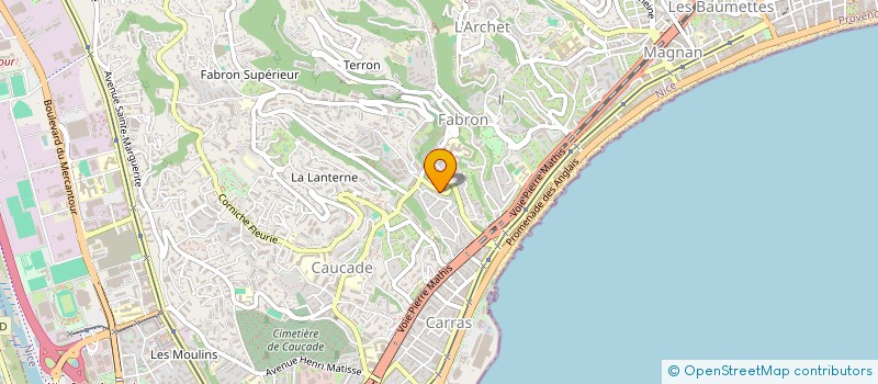 localisation de l'entreprise MONSIEUR ANDREI DOROS à NICE
