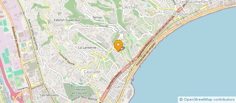 localisation de l'entreprise MONSIEUR ANDREI GORBATII à NICE