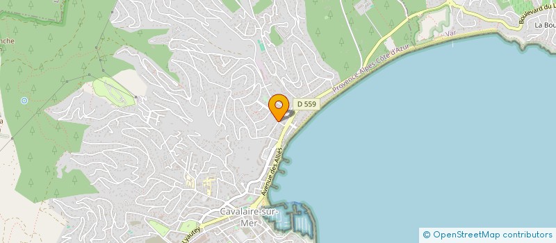localisation de l'entreprise MONSIEUR ANDREI GOURSKI à CAVALAIRE-SUR-MER
