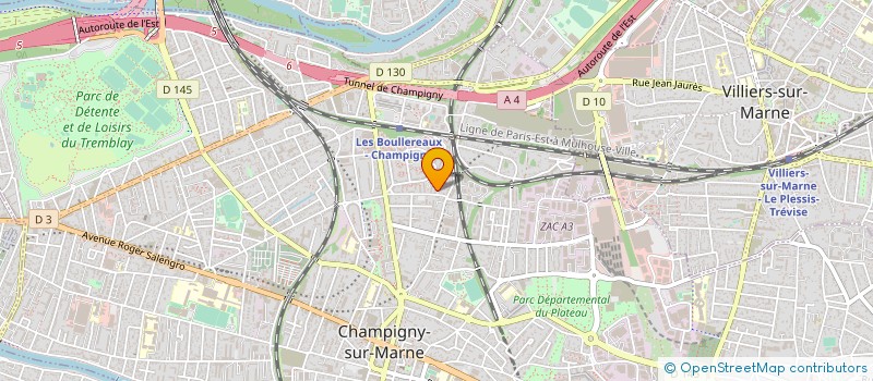 localisation de l'entreprise MONSIEUR ANDREI PELCIUC  CHAMPIGNY-SUR-MARNE