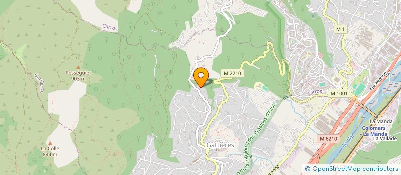 localisation de l'entreprise MONSIEUR ANDREI PINZARI  GATTIERES