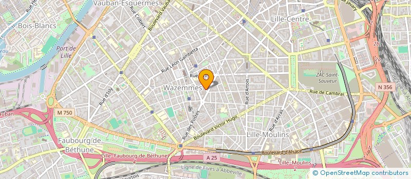 localisation de l'entreprise MONSIEUR ANDREI RUSNAC à LILLE