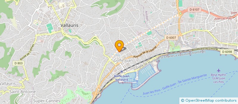 localisation de l'entreprise MONSIEUR ANDREI SERGEEV à VALLAURIS