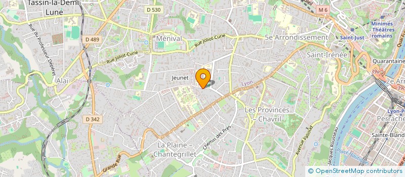 localisation de l'entreprise MONSIEUR ANDREI STANESCU  LYON