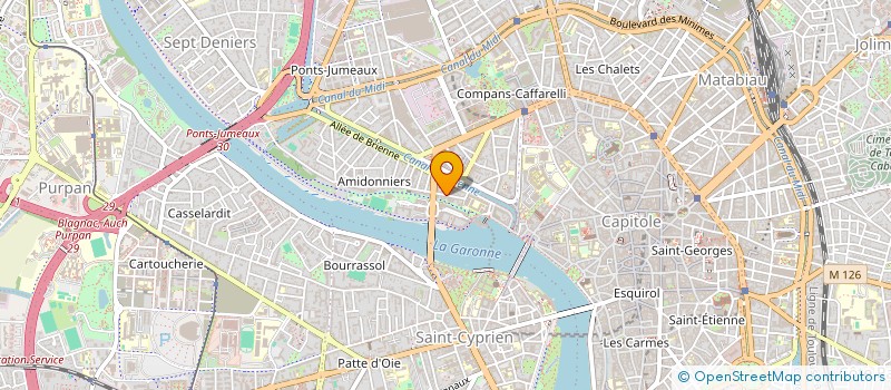 localisation de l'entreprise MONSIEUR ANDRES ANZIVINO  TOULOUSE