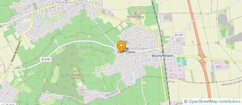 localisation de l'entreprise MONSIEUR ANDRES MICHEL  BISCHOFFSHEIM