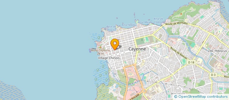 localisation de l'entreprise MONSIEUR ANDREW DE ARAUJO PANTOJA  CAYENNE