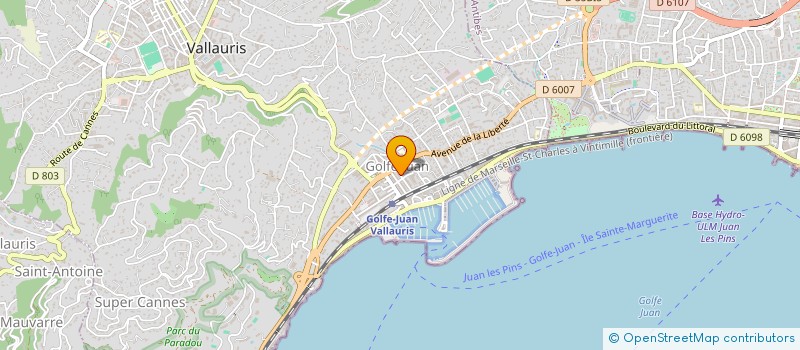 localisation de l'entreprise MONSIEUR ANDRIY IOUTYCH  VALLAURIS