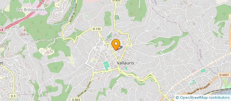 localisation de l'entreprise MONSIEUR ANGE BENEDETTO  VALLAURIS