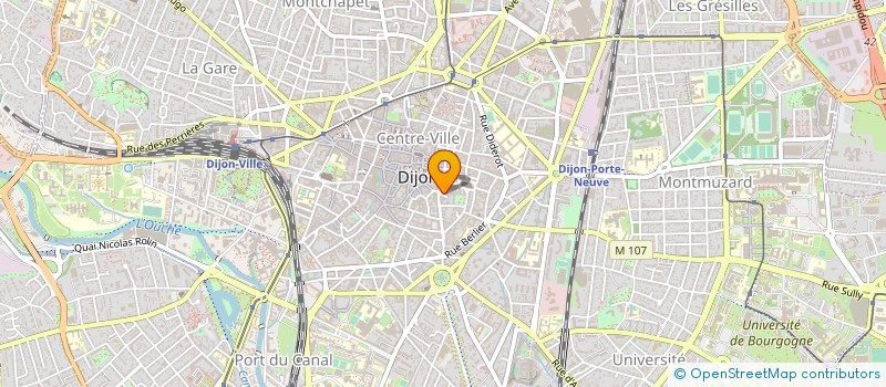localisation de l'entreprise MONSIEUR ANGE LUCIANI à DIJON