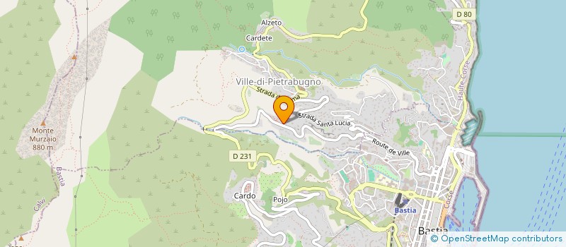 localisation de l'entreprise MONSIEUR ANGE MATTEI à BASTIA