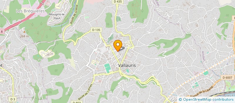 localisation de l'entreprise MONSIEUR ANGE PRONESTI  VALLAURIS