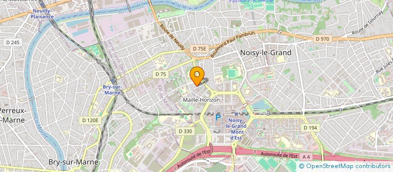 localisation de l'entreprise MONSIEUR ANGEL PIRES-MARTINS  NOISY-LE-GRAND