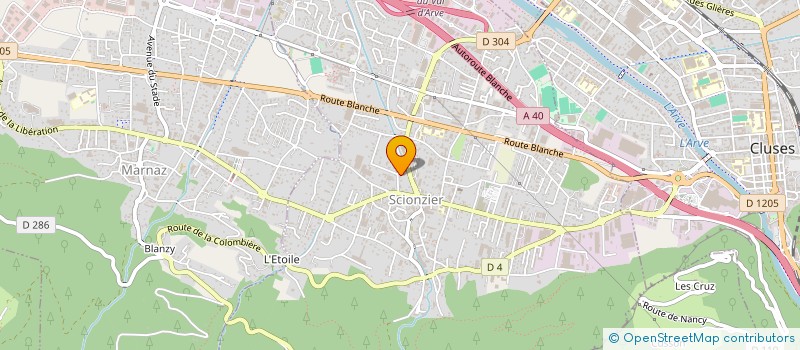 localisation de l'entreprise MONSIEUR ANGEL YANEZ VASQUEZ  SCIONZIER