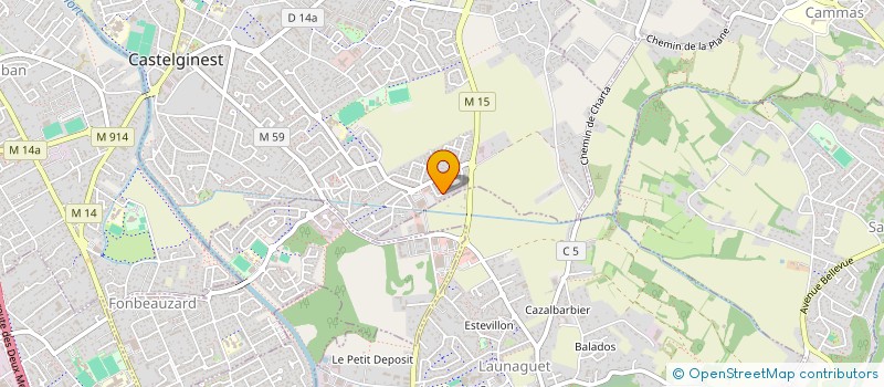 localisation de l'entreprise MONSIEUR ANGELO DAMAS RIOUT  CASTELGINEST