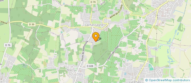 localisation de l'entreprise MONSIEUR ANGELO PALMISANO  LACHASSAGNE