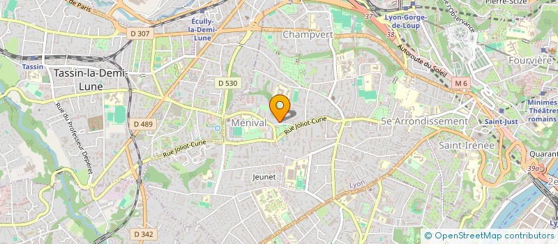 localisation de l'entreprise MONSIEUR ANGESOM TEAMER à LYON
