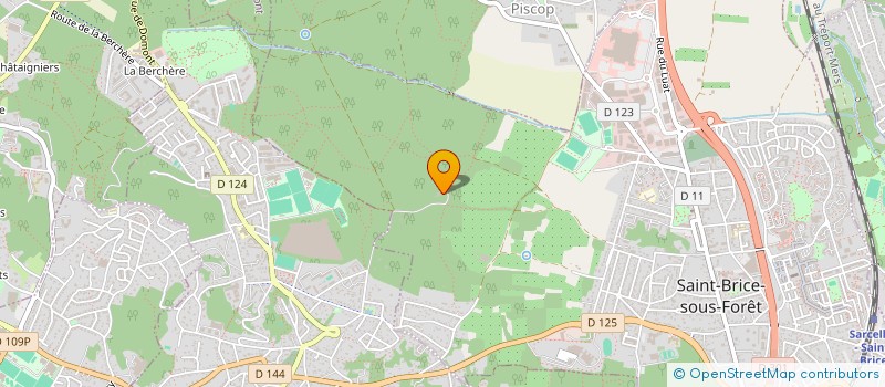 localisation de l'entreprise MONSIEUR ANGHEL-FLORIN POP  SAINT-BRICE-SOUS-FORET