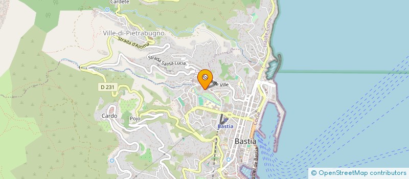 localisation de l'entreprise MONSIEUR ANGHJULU COSTA  BASTIA