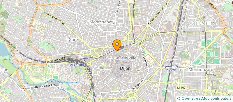 localisation de l'entreprise MONSIEUR ANIS BELGACEM à DIJON