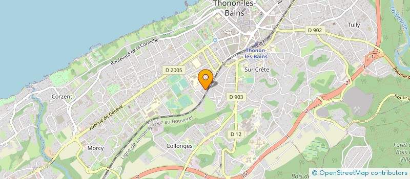 localisation de l'entreprise MONSIEUR ANIS M'HAMDI à THONON-LES-BAINS