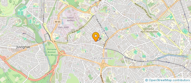 localisation de l'entreprise MONSIEUR ANOUAR MAAZOUZ à MONTPELLIER