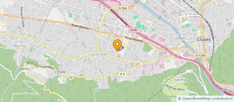 localisation de l'entreprise MONSIEUR ANOUSONE KHAM PHUONG  SCIONZIER