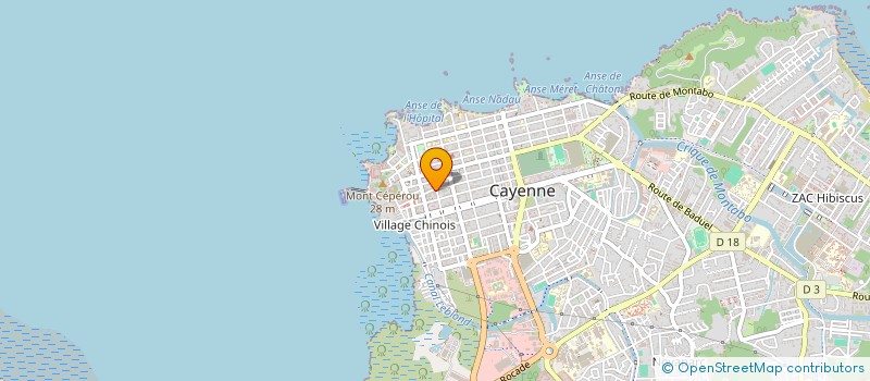 localisation de l'entreprise MONSIEUR ANSELINO CA  CAYENNE