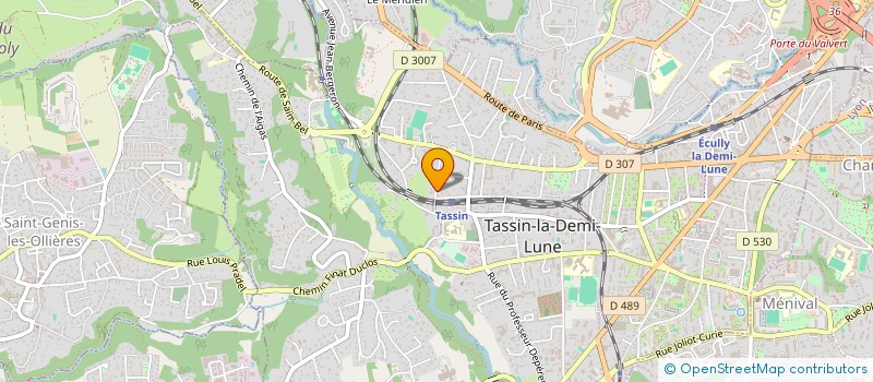 localisation de l'entreprise MONSIEUR ANSELME DANG  TASSIN-LA-DEMI-LUNE