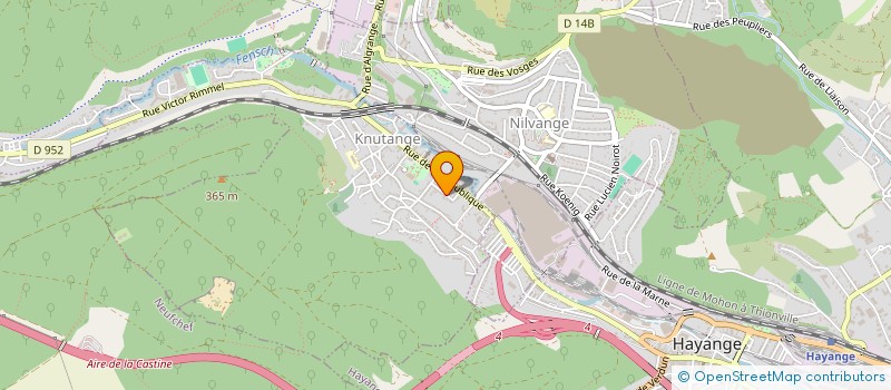 localisation de l'entreprise MONSIEUR ANSELMO TIOZZO  KNUTANGE