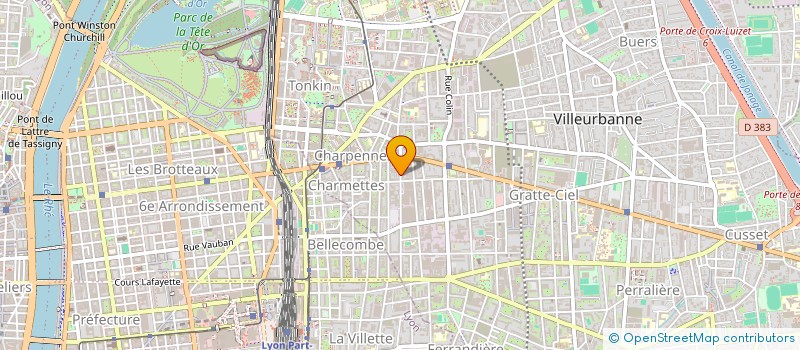 localisation de l'entreprise MONSIEUR ANTHONY ALLIER  VILLEURBANNE