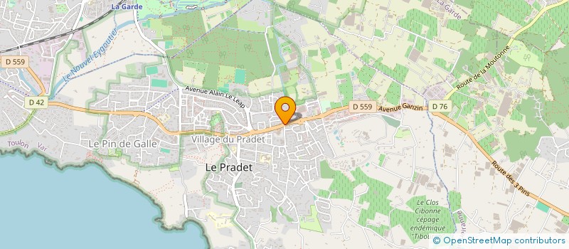 localisation de l'entreprise MONSIEUR ANTHONY ANGELINI  LE PRADET