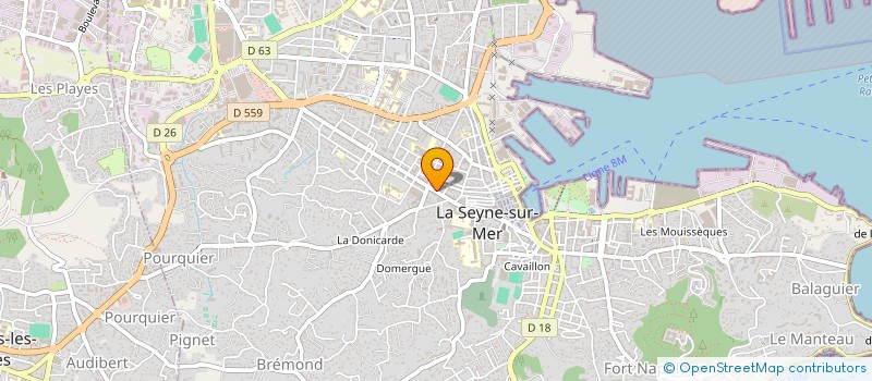 localisation de l'entreprise MONSIEUR ANTHONY BARBARROUX à LA SEYNE-SUR-MER