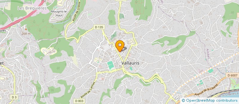 localisation de l'entreprise MONSIEUR ANTHONY BEGUE  VALLAURIS