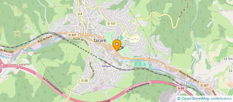 localisation de l'entreprise MONSIEUR ANTHONY BERNINI  TARARE