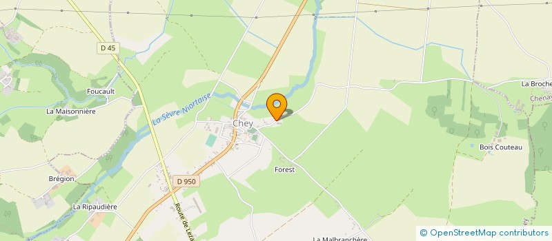 localisation de l'entreprise MONSIEUR ANTHONY BERTIN  CHEY