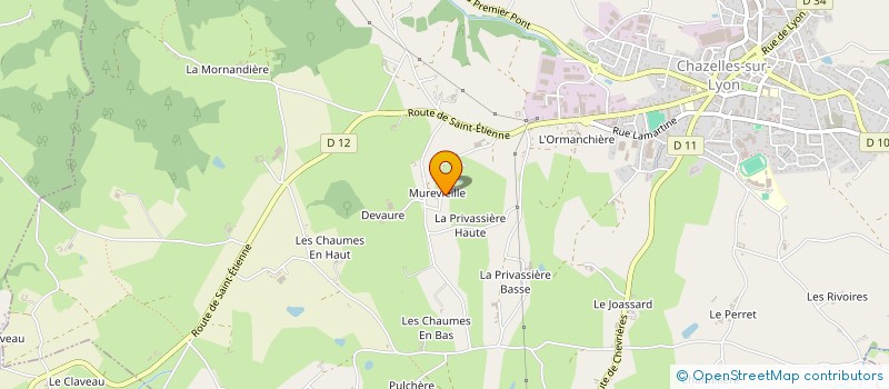 localisation de l'entreprise MONSIEUR ANTHONY BOURRIN à CHAZELLES SUR LYON