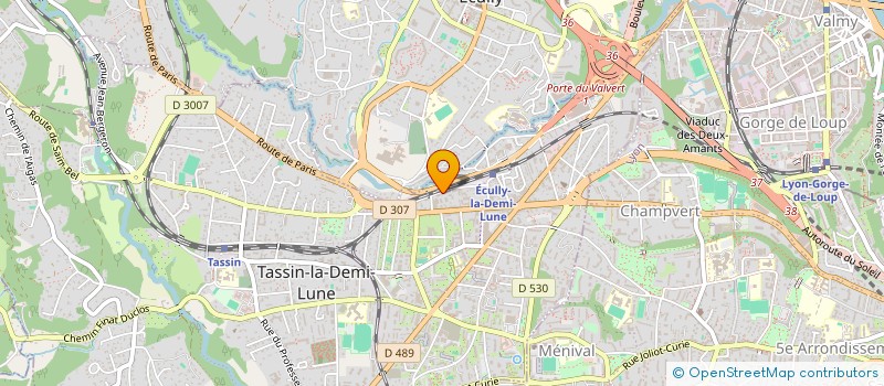 localisation de l'entreprise MONSIEUR ANTHONY BRAVO  TASSIN-LA-DEMI-LUNE