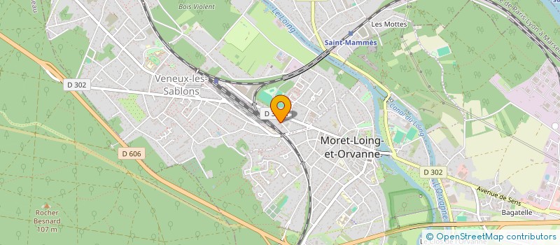 localisation de l'entreprise MONSIEUR ANTHONY CHAMBON  MORET-LOING-ET-ORVANNE