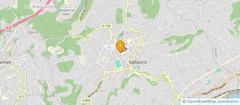 localisation de l'entreprise MONSIEUR ANTHONY CHIDEKH à VALLAURIS