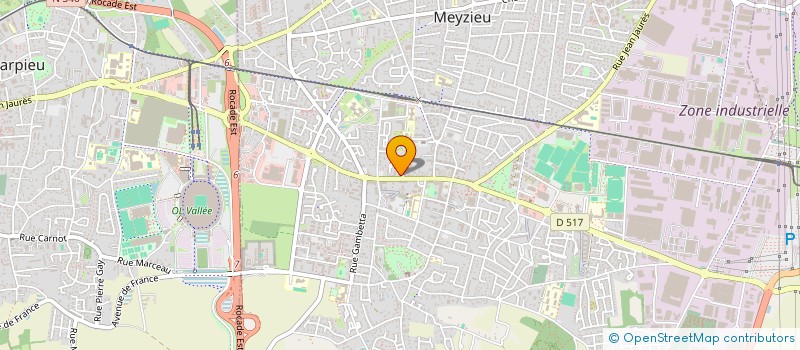localisation de l'entreprise MONSIEUR ANTHONY D'ANGELO à MEYZIEU